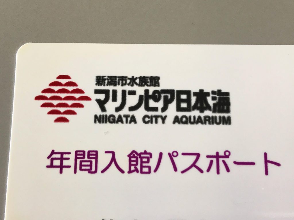 年間パスポート。入館時に申し込めば、館内で楽しんでいる間に作ってくれるので帰りにもらうことができます。